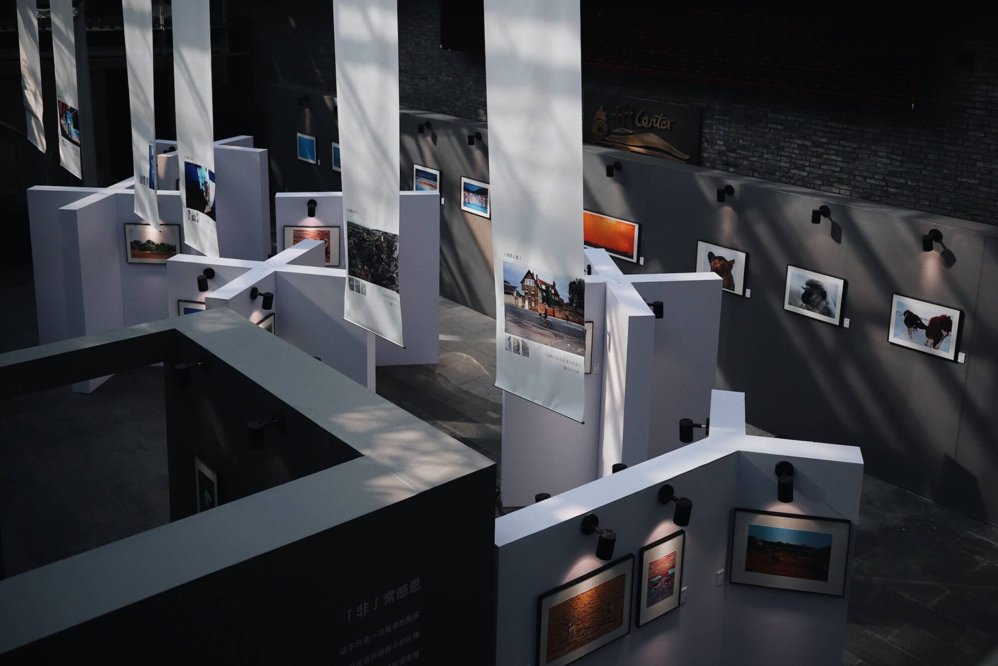 wang xi 490257 unsplash (1)