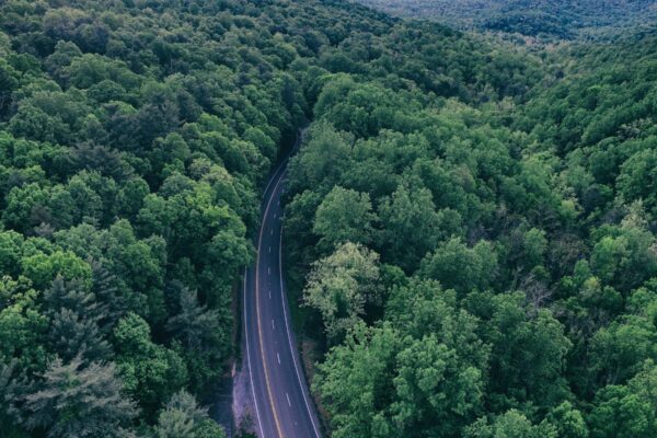 cropped stocksnap 89bqz89tlh 2.jpg