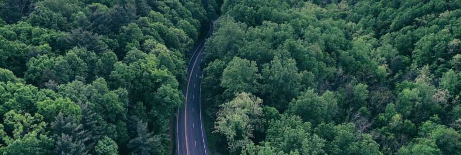 cropped stocksnap 89bqz89tlh 2.jpg